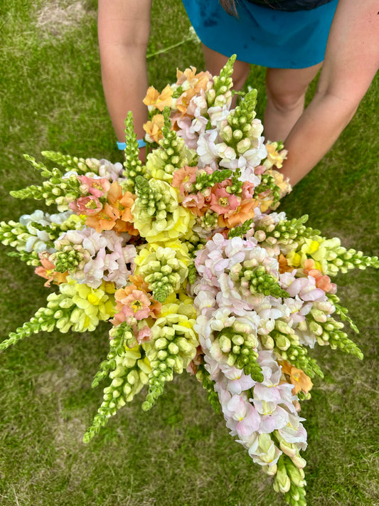 Custom Bouquet or Arrangement – Let’s Chat!